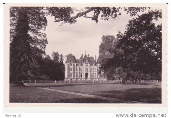 VENDEE . LA CHATAIGNERAIE . CHATEAU DE CHATENAY - La Chataigneraie