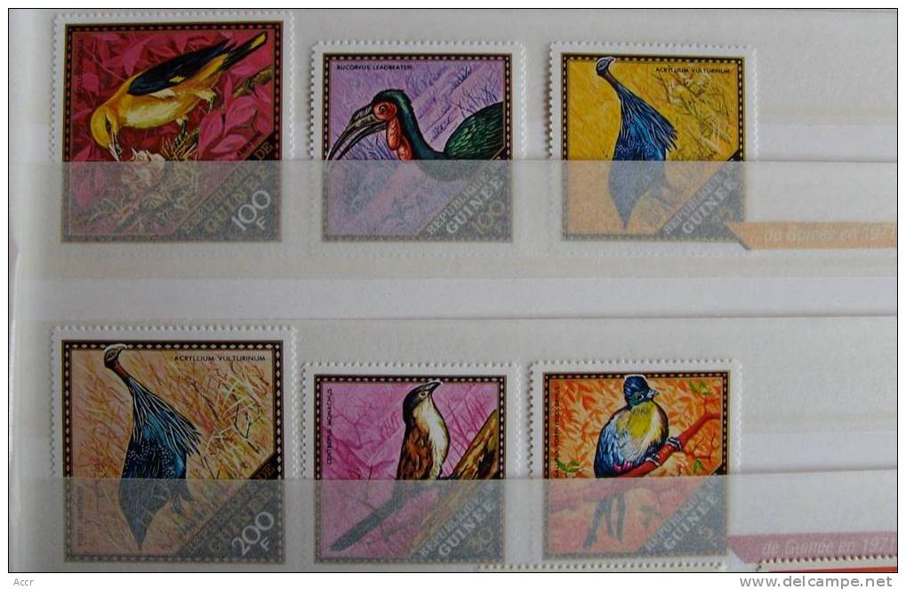 Guinée 1971 Série 6 Oiseaux ** Birds - Collections, Lots & Series