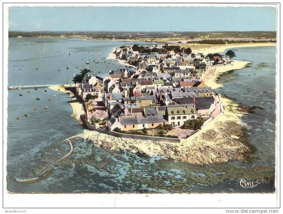 29-184  Ile Tudy - Vue Aérienne - Vue Générale De L' Ile Et Le Port . CIM 30394A ; Colorisée - Autres & Non Classés