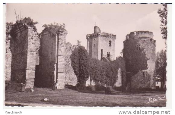 BLANDY . CHATEAU VUE EXTERIEURE PONT LEVIS DONJON TOUR DES GARDES - Vaux Le Vicomte