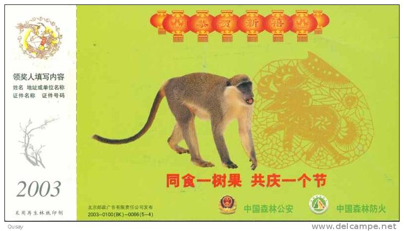 Monkey Gibbon  ,   Pre-stamped Card , Postal Stationery - Singes