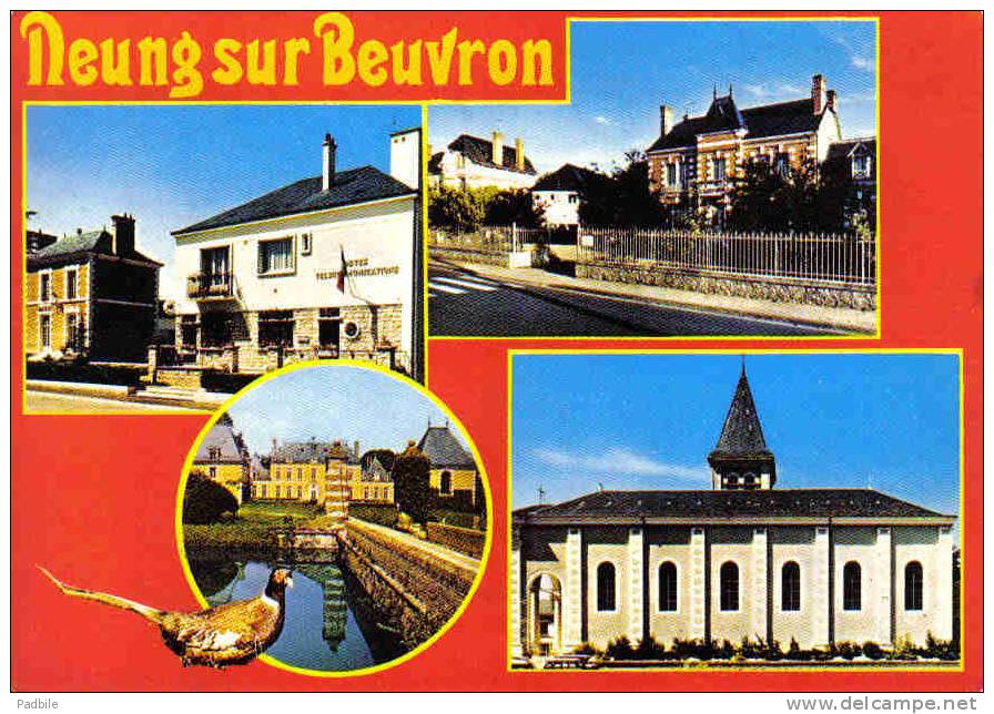 Carte Postale  41. Neung-sur-Beuvron  Trés Beau Plan - Neung Sur Beuvron