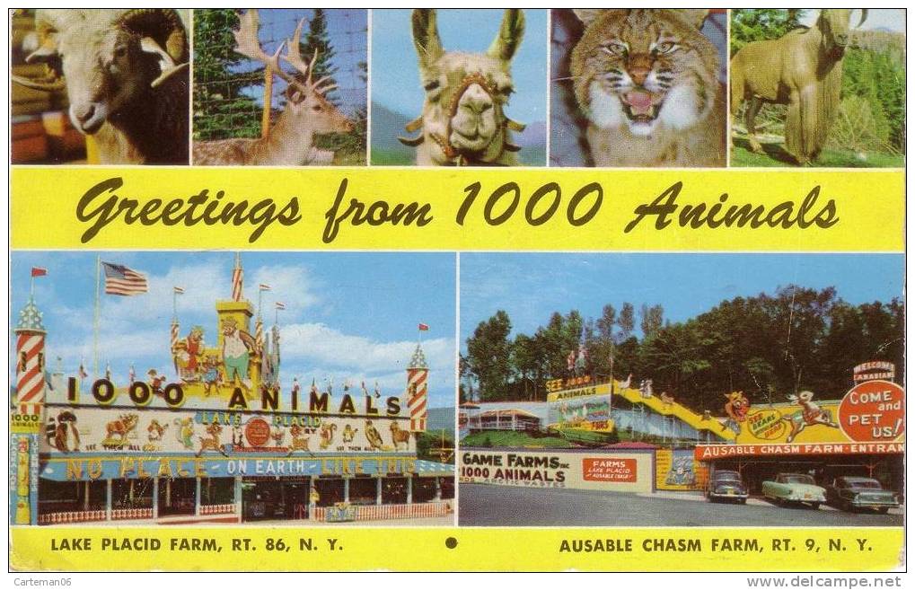 Etats-Unis - See 1000 Animals - Sterling Alaska Fur & Game Farms, Inc. - Altri & Non Classificati