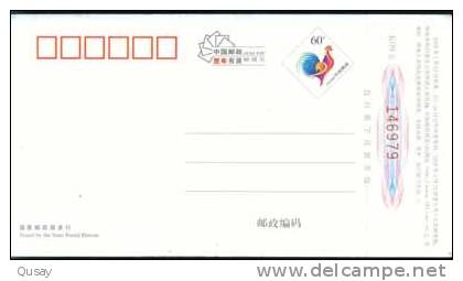 Cycling Bike Bicycle Postman  ,   Pre-stamped Card , Postal Stationery - Vélo