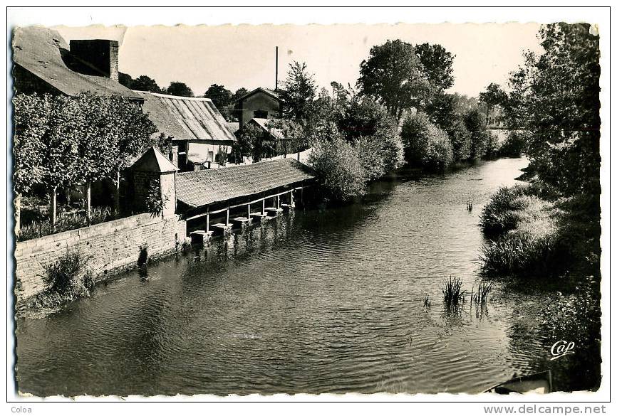 Saint Hilaire Du Harcouët Les Bords De La Sélune - Saint Hilaire Du Harcouet