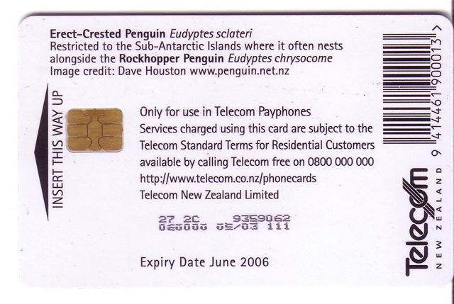 PENGUIN ( New Zealand Rare) Pingouin Manchot Pinguin Pinguino Penguins Pingouins Bird Polar Polaire Artico Arctisch - New Zealand