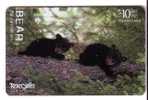 BEAR - URSUS AMERICANUS ( New Zealand ) - Ours - Grizzly – Bär – Oso - Orso - Beer - Bears ( Black Bear ) - Nuova Zelanda