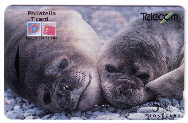 SEAL ...  PHILATELIA T'card - Koeln , Germany 1993. ( Code ADCB ) - New Zealand Rare Card * Phoque Seehund Foca Zeehond - Nueva Zelanda