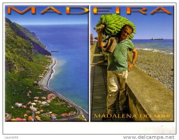 Carte Postale Sur Les Bananes - Bananas Postcards - Cultivation