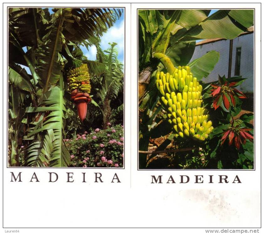 Carte Postale Sur Les Bananes - Bananas Postcards - Culturas