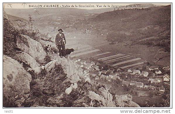 Dép 90 - O700 - Vallée De La Beucinière - Vue De La Jargogne Prise De Chauveroche - état - Other & Unclassified