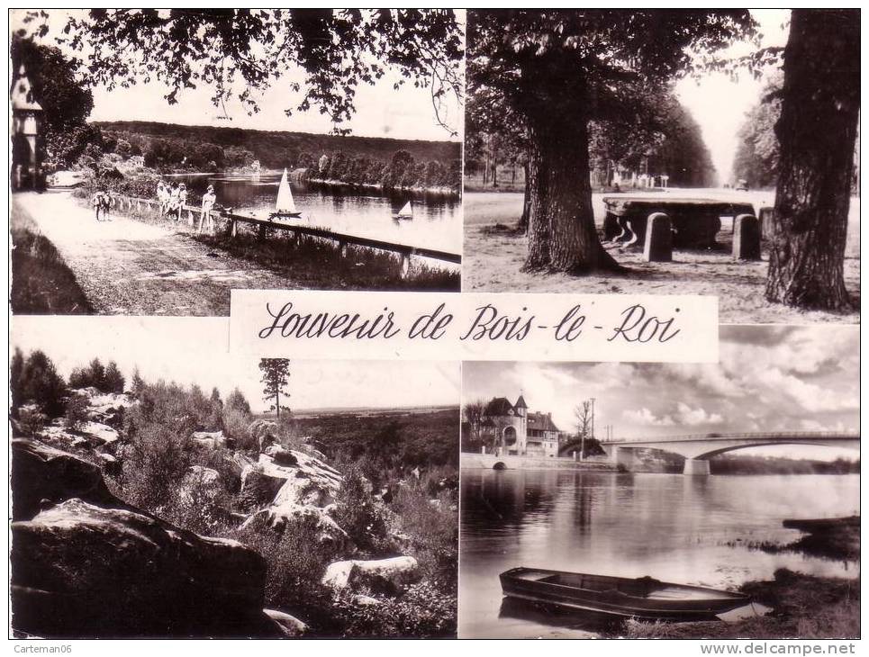 77 - Bois Le Roi - Souvenir De Bois Le Roi. - Bois Le Roi