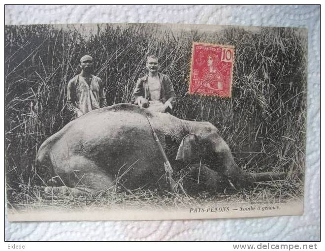 Chasse En Indochine Coll. Barbat  Pays Penons Cambodge Tombé A Genoux Elephant - Cambodge