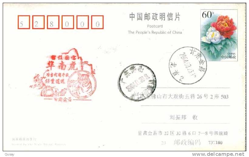 Huanan Tiger   Postmark  ,  Pre-stamped Card , Postal Stationery - Rhinoceros