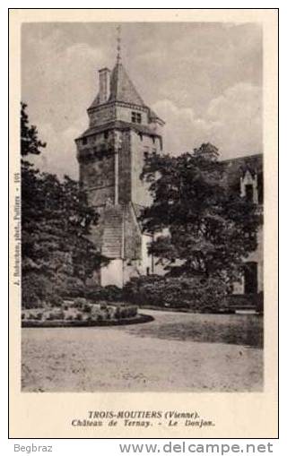 TROIS MOUTIERS         CHATEAU DE TERNAY - Les Trois Moutiers