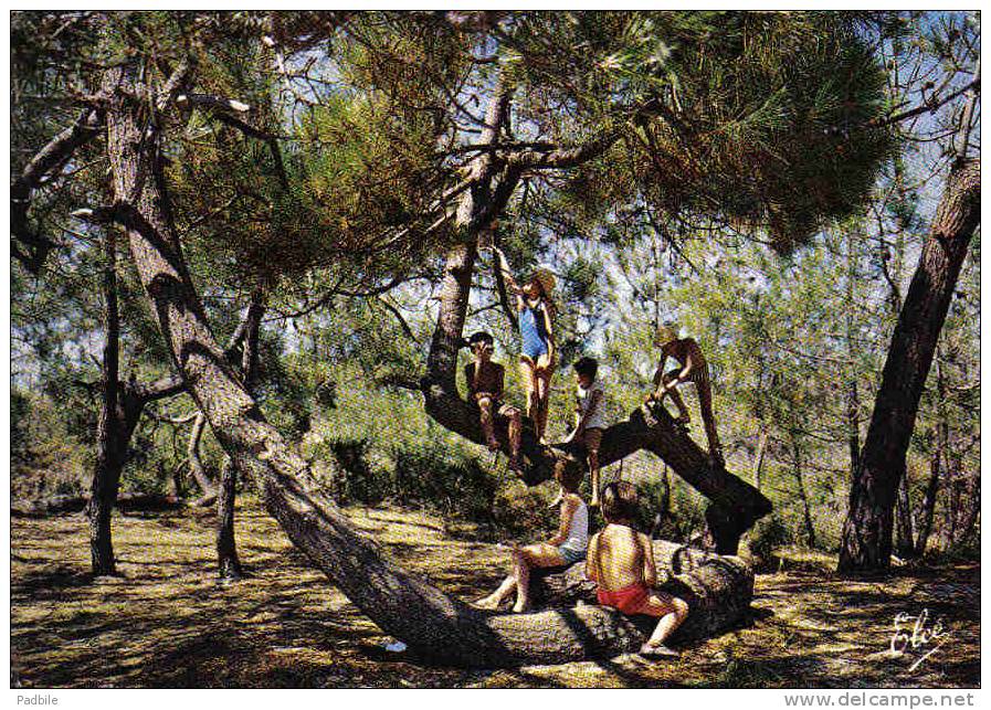 Carte Postale  40. Mimizan Jeux D'enfants Dans La Forêt Landaise Trés Beau Plan - Mimizan