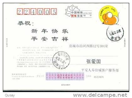 Table Tennis  Famous Tennis Tavolo World Champion Wang Lan & Wang Liqing  , Pre-stamped Card  ,postal Stationery - Ansichtskarten