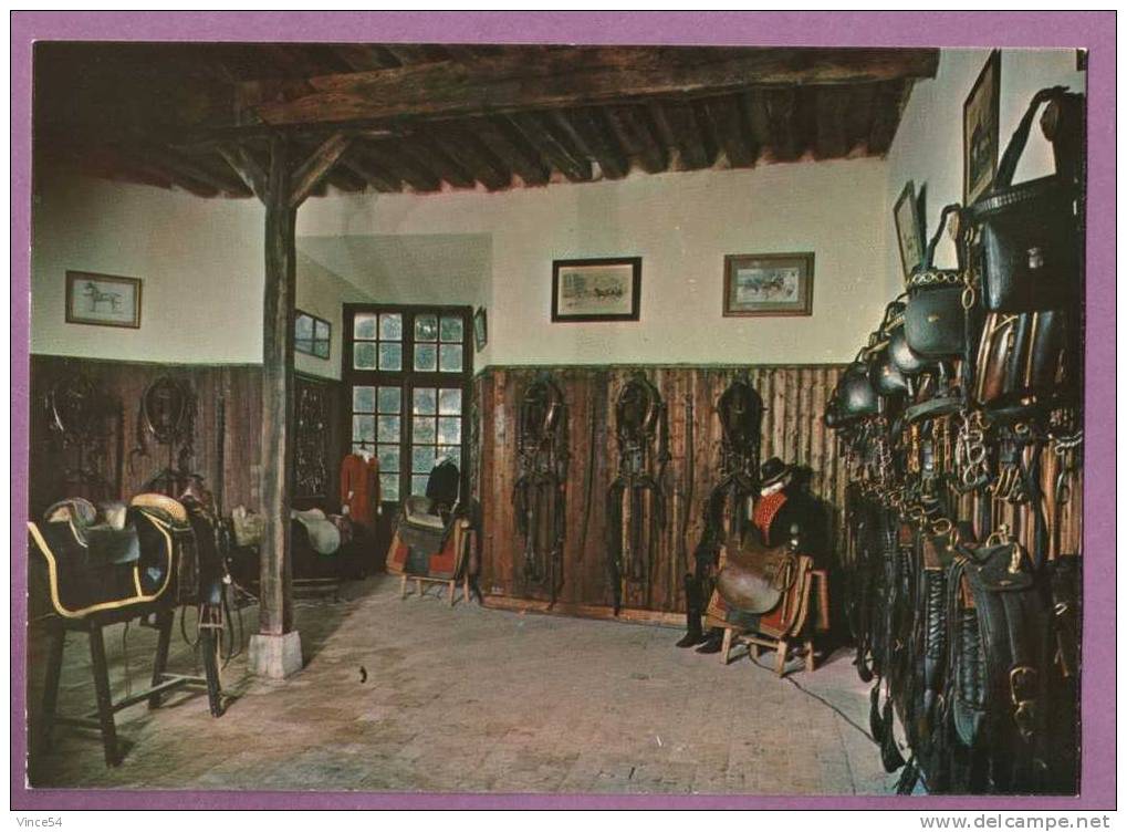 SAINT FARGEAU - Le Château : Le Musée Du Cheval. Non Circulé. Scans Recto / Verso - Saint Fargeau