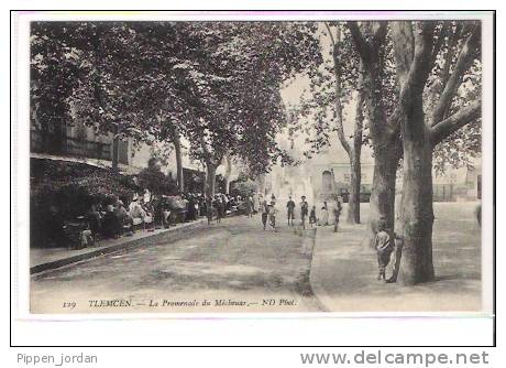 ALGERIE - TLEMCEN * La Promenade Du Mébouar * Belle Carte Animée, - Tlemcen