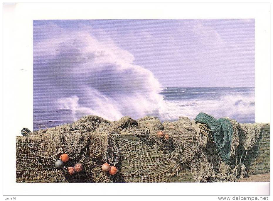 Pêche -  Filets  - Vagues - Poitou-Charentes