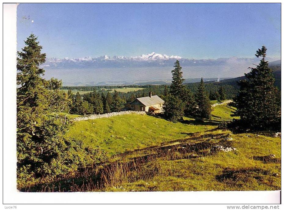 Le Châlet  Restaurant  De La Dent De VAULION -  Vue Sur Le Mont Blanc - Vaulion