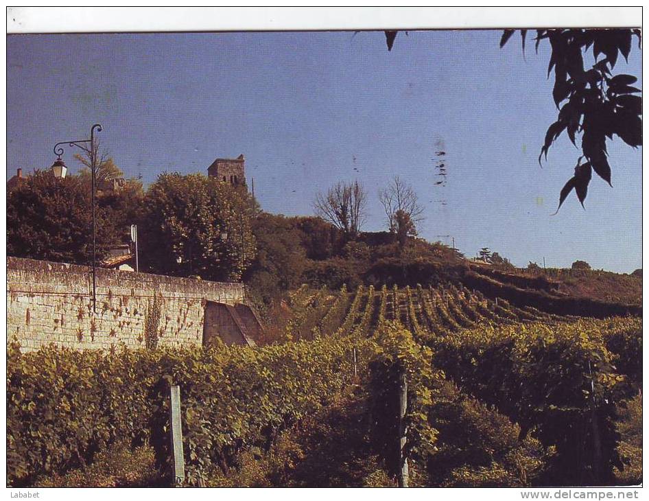 ST EMILION VIGNOBLE - Saint-Emilion