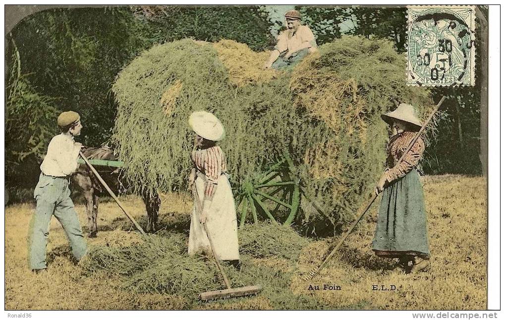 CP Agriculture   AU FOIN ( La Fenaison) (rateaux,agriculteurs,attelage De Cheval) - Cultivation