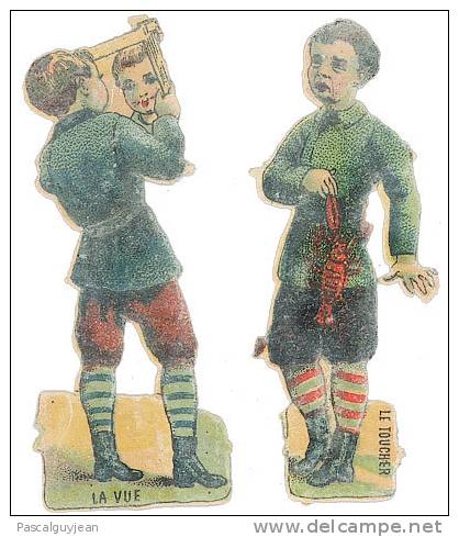 2 DECOUPIS 'LA VUE", "LE TOUCHER" Hauteur 7,5 Cm - DIE-CUT - Children