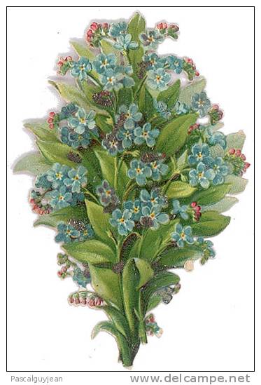 DECOUPI BOUQUET DE MYOSOTIS 8,5 X 5 Cm - DIE-CUT - Flowers