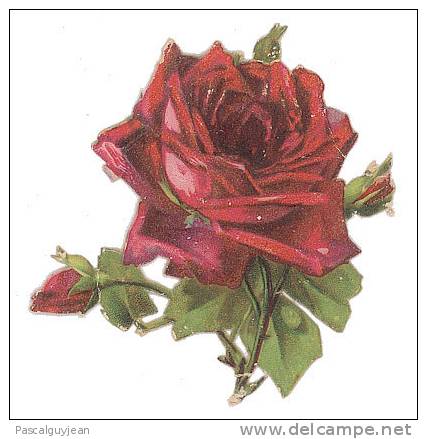 DECOUPI ROSE 6 X 6,5 Cm - DIE-CUT - Fleurs