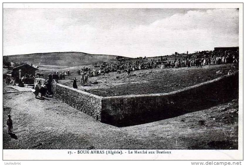 SOUK AHRAS ALGERIE LE MARCHE AUX BESTIAUX COLLECTION ETOILE PHOTO ALBERT - Souk Ahras