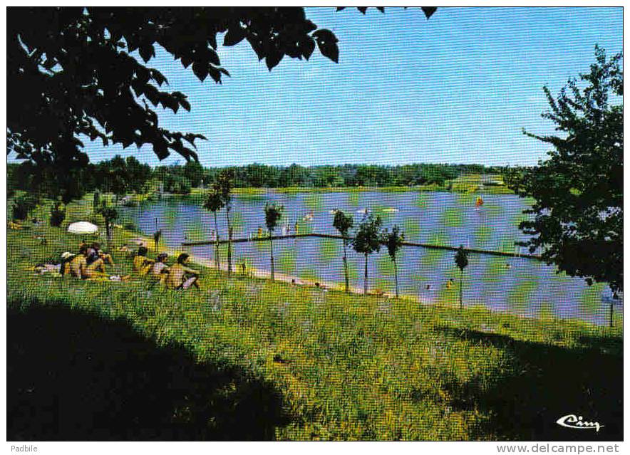 Carte Postale  47. Damazan   La Plage Du Lac Trés Beau Plan - Damazan