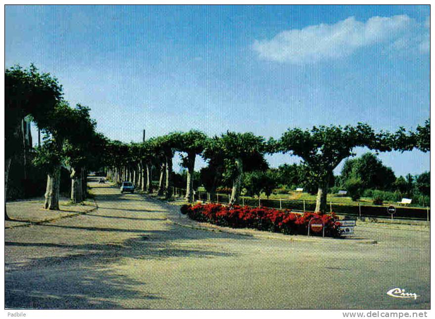 Carte Postale  47. Damazan   L'Allée Des Jardins Publics Trés Beau Plan - Damazan
