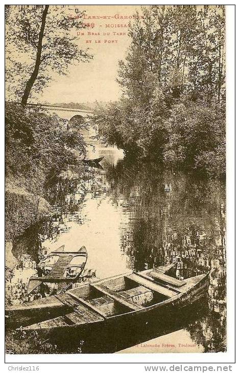 82 MOISSAC Bras Du Tarn Et Le Pont  Joli Plan Avec Barques - Moissac