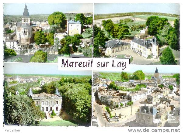 85. MAREUIL-SUR-LAY.  VUE AERIENNE. EN AVION AU DESSUS DE MAREUIL-SUR-LAY. MULTI VUES. - Mareuil Sur Lay Dissais