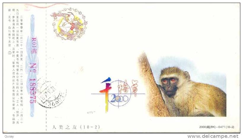 Rare Animal  Monkey Gibbon ,   Pre-stamped Card, Postal Stationery - Singes