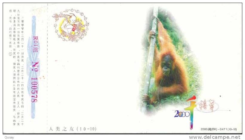 Rare Animal  Monkey Gibbon  ,   Pre-stamped Card, Postal Stationery - Apen