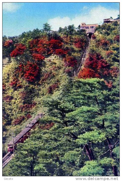 Mt Rokko At Kobe - Kobe