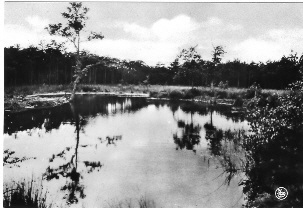 Keerbergen  De Poel - Keerbergen