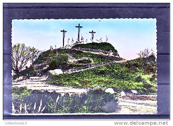 LOIRE ATLANTIQUE - Pontchâteau - Vue Générale De La Montagne Du Calvaire - Pontchâteau