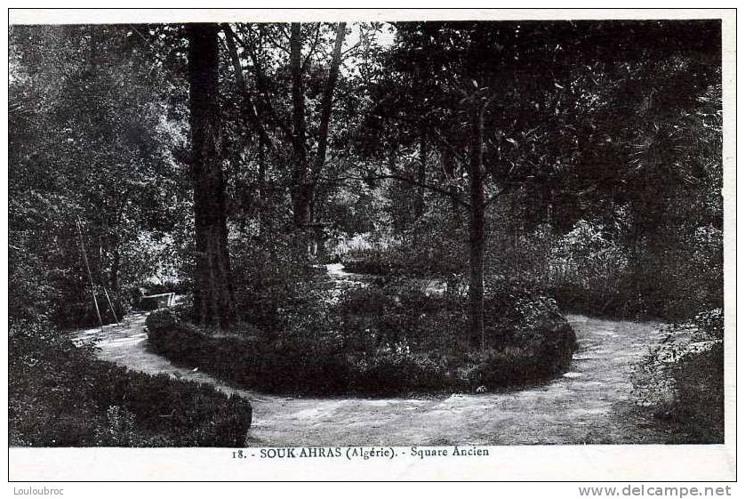 SOUK AHRAS SQUARE ANCIEN COLL ETOILE PHOTO ALBERT - Souk Ahras