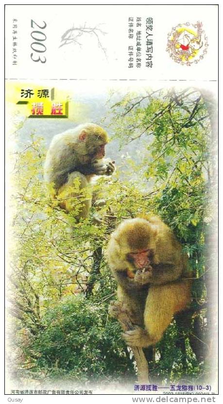 Monkey Gibbon    , Pre-stamped Card ,postal Stationery - Singes