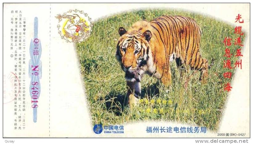 Tiger   , Pre-stamped Card ,postal Stationery - Rhinoceros