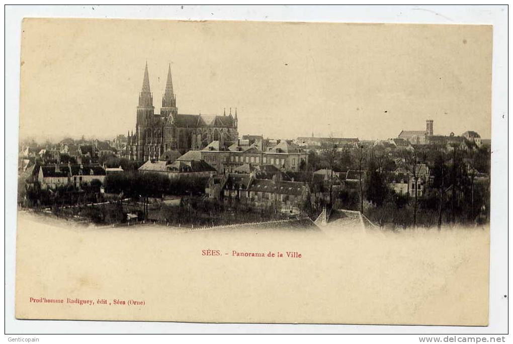 I3 - SEES - Panorama De La Ville (CARTE PRECURSEUR) - Sees