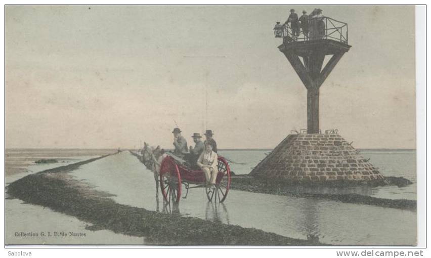 Vendée. Noimoutier. Le Passage Du Goâ Ou Gois. Superbe Et En Couleur - Lucon