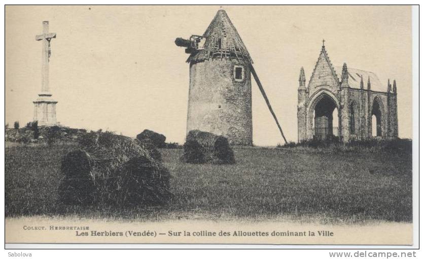 Vendée. Les Herbiers Moulin Colline Des Allouettes - Lucon
