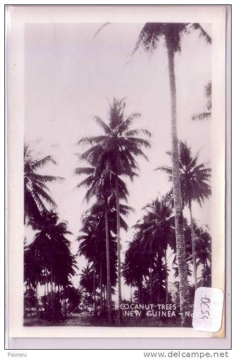 - NEW GUINEA - COCONUT TREES (OC 054) - Papua-Neuguinea