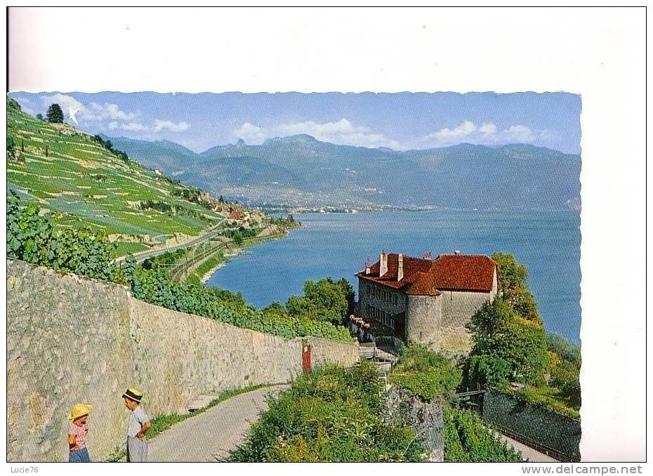 LE LAVAUX -  Le Château De GLEROLLES Près RIVAZ - N° 16 - Rivaz