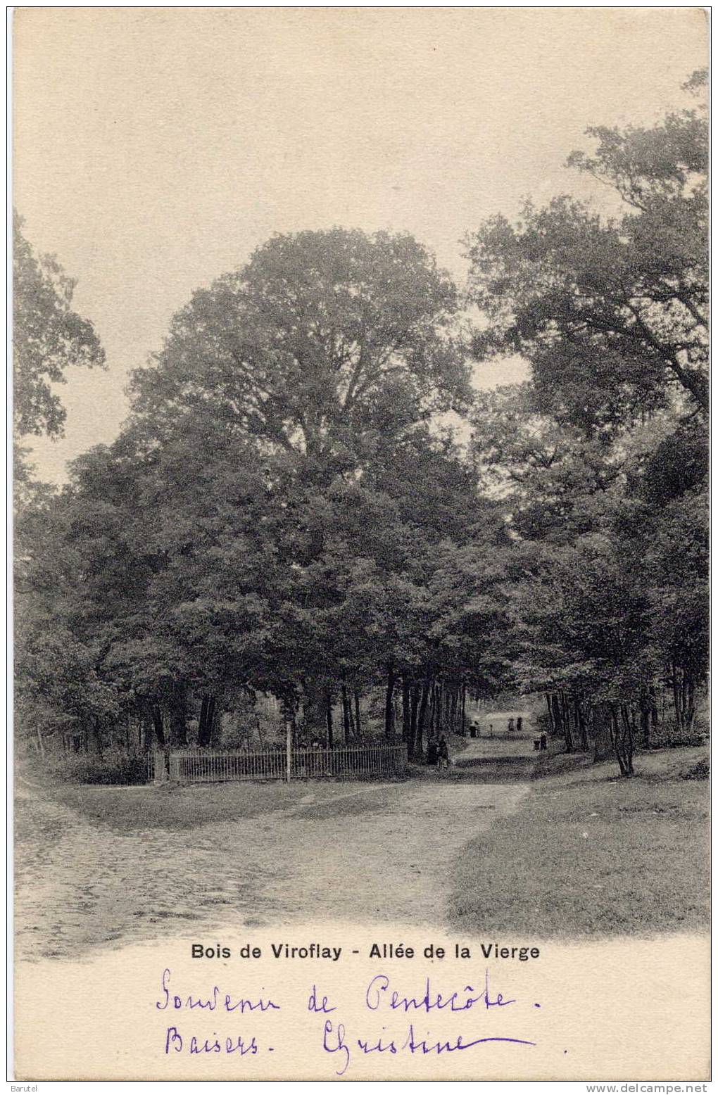 VIROFLAY - Le Bois. Allée De La Vierge - Viroflay