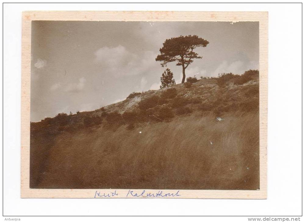 KALMTHOUT Zicht Op De Heide 1914 (echte Foto GEEN Postkaart ) 12 Op 9 - Kalmthout